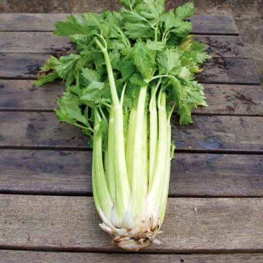 Celery Leaves 1KG